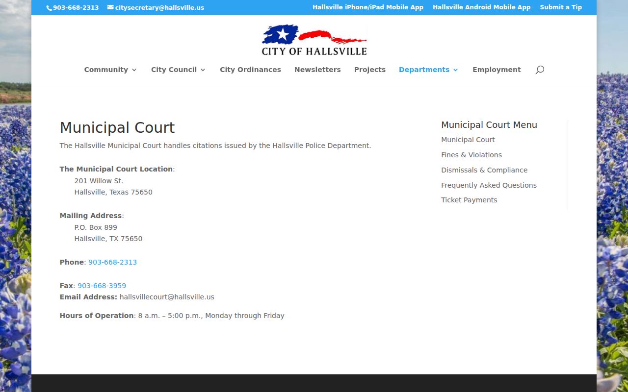 Hallsville Municipal Court information and schedule